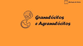 Granulócitos e Agranulócitos [upl. by Glover178]