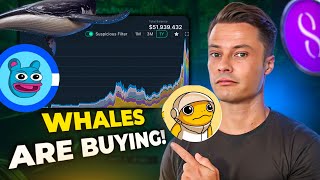 MEME Coin Whales Are Buying MILLIONS  Of These MemeCoins Turbo Brett Dog [upl. by Maretz]