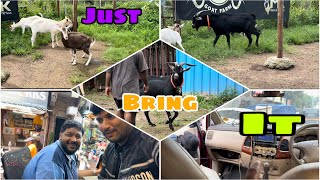 Vlog 965  GOAT FARMING KE CHALLANGES  FARMER LIFE ALHAMDULILLHA  MOHSIN KHAN [upl. by Marchak]