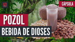 El pozol chiapaneco Bebida de dioses pozol cacao chiapas mexico [upl. by Ecyrb598]