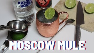 Das Moscow Mule Rezept eine Limo für Erwachsene 😁 Enjoy den Moscow Mule Cocktail [upl. by Armilla]