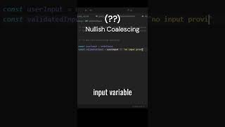 Day 19 JavaScript Nullish Coalescing Operator Explained [upl. by Ioab]