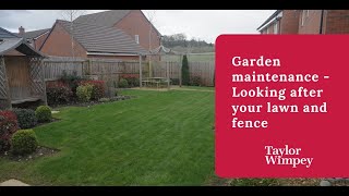 Taylor Wimpey  Garden maintenance  looking after your lawn and fence [upl. by Dulcine168]