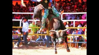 ¡¡20 TORAZOS BARBAROS Rancho La Mision En La Magdalena Jaltepec Oaxaca 22 Julio 2015 [upl. by Spiers861]