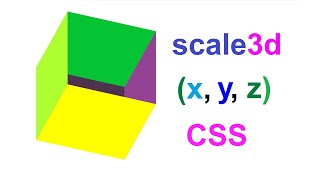 Scale3Dx y z CSS Function of the Transform Property [upl. by Carol-Jean]