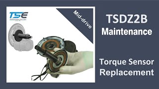 Tongsheng TSDZ2B Torque Sensor Replacement [upl. by Cy782]