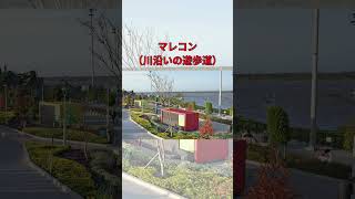 【コロンビア】1分で巡るバランキージャの魅力バランキージャガイドバランキージャ観光旅行海外南米 [upl. by Ramar850]