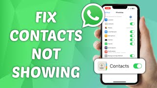 How to Fix Contacts Not Showing on WhatsApp [upl. by Bohner]