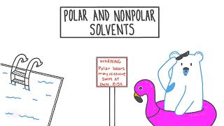 Polar and Nonpolar Solvents Chemistry [upl. by Initsed273]