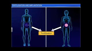 CBSE Class 12 Biology Human Reproduction – 4 Fertilization and Implantation [upl. by Colly81]