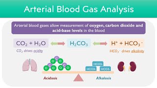 Arterial Blood Gas ABG Interpretation  Worked Examples [upl. by Tnahsarp140]