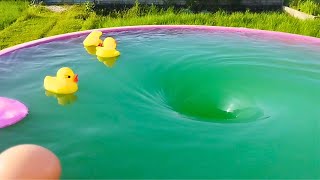 Ducklings VS whirlpool Whirlpool experiments Whirlpool Video [upl. by Leonardi424]