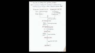 De novo Synthesis of fatty acid Palmitic acid biochemistry bpharmacy trendinghandwritten note [upl. by Nairam722]