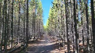 Fairy Falls Trail at Yellowstone National Park [upl. by Arrec]