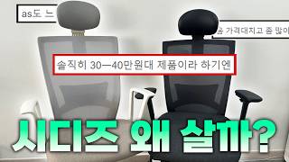 욕먹어도 잘 팔리는 시디즈 의자 리뷰ㅣ20만원 vs 30만원 가격대별 컴퓨터 사무용 의자 비교 l 시디즈 T50 l 의자 추천 사용법 [upl. by Errick789]