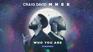 Craig David amp MNEK  Who You Are Stripped Official Audio [upl. by December324]