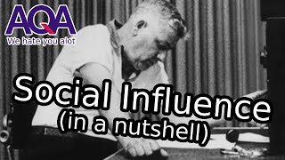 Social Influence in a nutshell AQA A Level Psychology Paper 1 [upl. by Boland758]