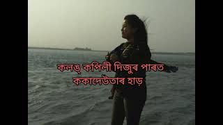 পলস  Assamese poem by Nabakanta Barua [upl. by Ybrad487]