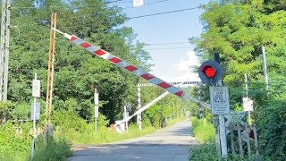 Passaggio a livello  Level crossing  Besozzo [upl. by Brunhild716]