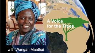 A Voice for Trees by Wangari Maathai [upl. by Crompton]