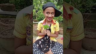 Bou more gele duidin kanna youtubeshorts trending subscribe [upl. by Aniala]