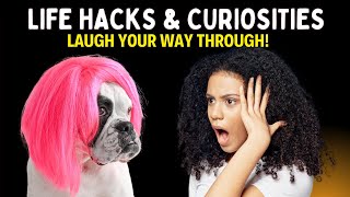 Life Hacks amp Curiosities Laugh Your Way Through [upl. by Decker]