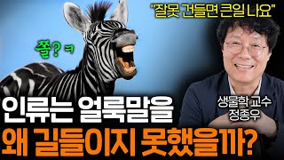 인간이 죽었다 깨어나도 절대 길들일 수 없는 동물 ㅋㅋ [upl. by Shanie]