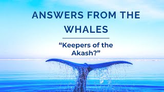 Channeling the Whales 2  How are they the keepers of the AKASHIC RECORDS [upl. by Prakash]