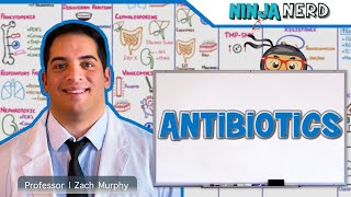 Antibiotics [upl. by Terry]