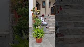 Sajjangarh fort Udaipur soothing music trending bassxboosted bassbeats musicgenre [upl. by Flemings]