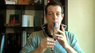 Tin Whistle Comparison Generation Susato Menager Abell [upl. by Yerffej760]