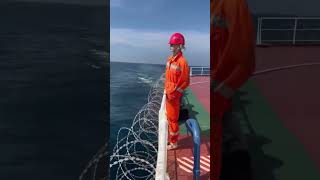 norh sea scary biggest ship in the world ocean life oceanship ocean bigship [upl. by Germann59]