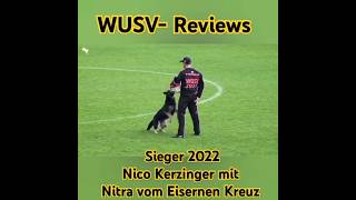 WUSV Reviews 2022 Nico Kerzinger mit Nitra vom Eisernen Kreuz [upl. by Kado]