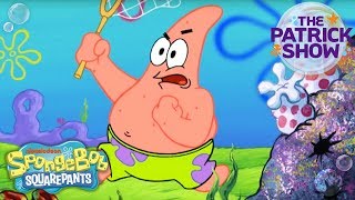 ‘SmartyPat’ 🤓 The Patrick Star ‘Sitcom’ Show Ep 7  SpongeBob [upl. by Steffi96]