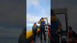 Norwegian Encore Excursion Alaska whales boat travel travelvlog traveling trending travels [upl. by Atirec]