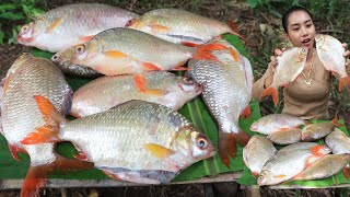 Cooking fish fried with fish sauce recipe  Amazing cooking [upl. by Ytsur]