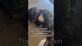 How do our skin supplements work 🔎 Shop PawPuk Paws Healthy Skin amp Coat on Amazon [upl. by Pate]