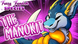 Furry Fandom Species The Manokit Ft DinghyManokit [upl. by Medarda]