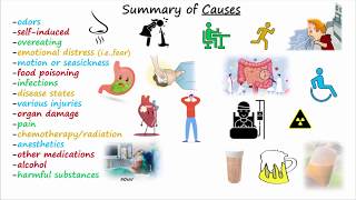 Antiemetics amp Antinausea Medications [upl. by Craw617]