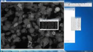 ImageJ How to Measure Mean Fluorescence Intensity Over Timelapse Image Stack Condensed [upl. by Engen654]