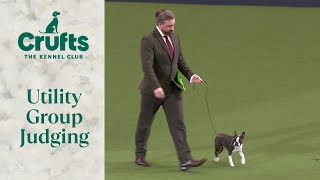 Utility Group Judging  Crufts 2024 [upl. by Riha609]