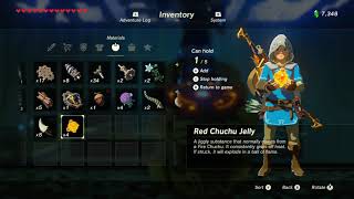 How to Get into Apparatus Storage  Legend of Zelda Breath of the Wild [upl. by Safoelc757]