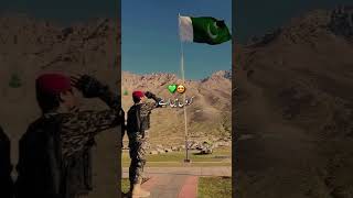 14 August 2024 Meray Watan Ye Aqeedatien  Hammad Ali Shah Official PAF Song [upl. by Damita751]