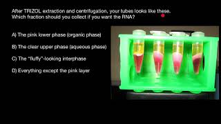 Trizol Reagent for RNA DNA and Protein Isolation [upl. by Faustine]