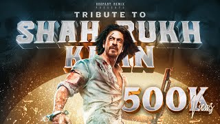 Shah Rukh Khan Birthday Mashup 2023  Tribute To SRK  Vibin Varghese  Dropart Remix [upl. by Spalding]