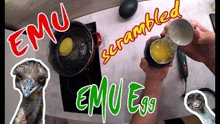 Praženička z vajíčok Emu hnedého Pštrosí míchané vejce Scrambled of emu egg [upl. by Kaufman]