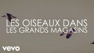 Aldebert  Les oiseaux dans les grands magasins Video Lyrics [upl. by Arinay433]