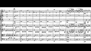 Mozart  Symphony no25 1st mvmt [upl. by Yrahk]