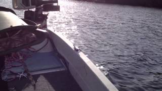 Sears Gamefisher with 1985 8Horsepower Johnson Outboard [upl. by Asilet]