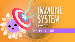 Immune System Part 1 Crash Course Anatomy amp Physiology 45 [upl. by Gnel]